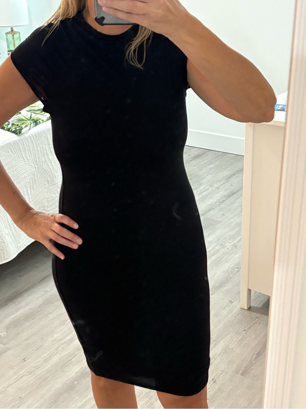 Double Zero Black Fitted Mini Dress
